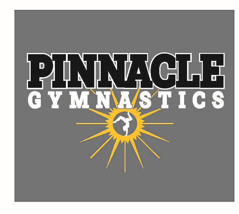 PIN - District ® Perfect Tri ® Tee - Youth/Adult - Image 14