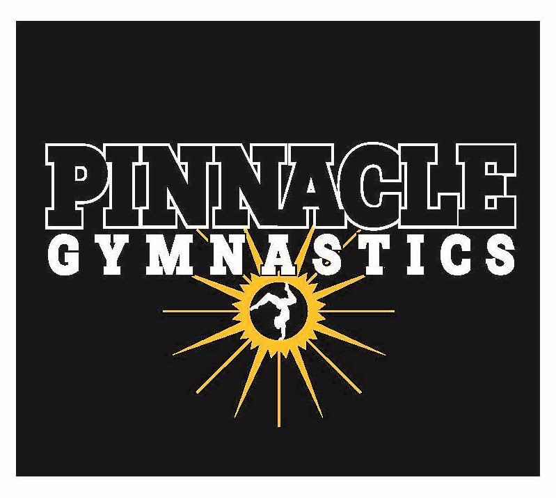Pinnacle 2025 Holiday Sale