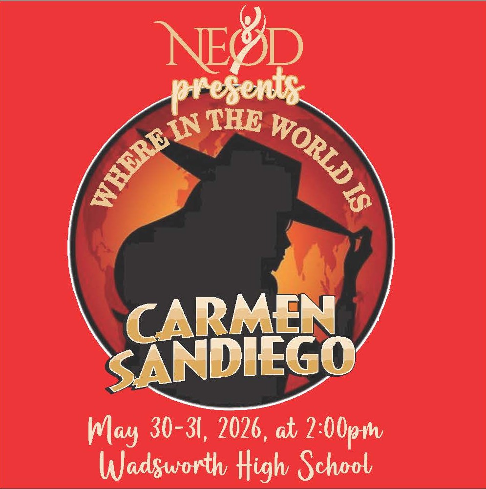 NEOD Carmen Sandiego Hoodie - Youth(PC90YH)/Adult(PC90H) - Image 2